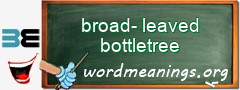 WordMeaning blackboard for broad-leaved bottletree